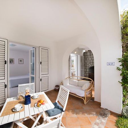 Casa Agave Appartement Forio di Ischia Buitenkant foto